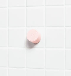 Magnetic Storage Hook E6
