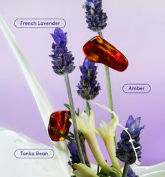 Skin Replenishing Body Wash Q1
